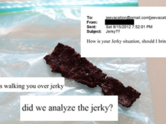 ”JERKY”EPSTEINA – PO CO ANALIZOWALI LUDZKIE MIĘSO ?
