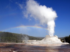 Yellowstone przez lata wyobrażano sobie inaczej. Nowe badanie właśnie to psuje