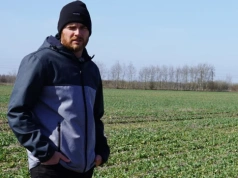 Rzepak stał w miejscu, teraz ma kilka dni. „Jeden zabieg zdecyduje o plonie”