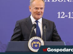 "Zatkało kakao" . Tusk znowu zaskakuje poziomem rozmowy