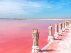Nie do wiary, że to w Europie. Różowe jezioro zachwyca