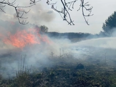 Duży pożar pod Ciechanowem. Zagrożone były budynki