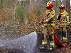 Międzynarodowe ćwiczenia ‘OGNISTE WZGÓRZE 2026’ w Nadleśnictwie Świebodzin