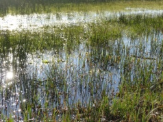 3,8 tys. wniosków o pieniądze za GAEC 2