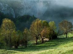 Miał dość życia w Anglii. Sprzedał wszystko i wyjechał. Teraz mieszka w górskiej chacie