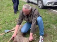 Wstrząsające. Poderżnął na żywca gardło rannemu koziołkowi, była też policja