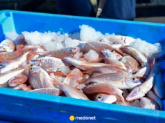 Chińscy naukowcy potwierdzają zakażenia. "Brak skutecznej terapii przeciwwirusowej"