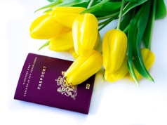 Podwójne obywatelstwo w Holandii. Czy dostępne dla Polaków?