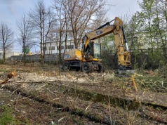 Prace przy „Szczucince” rozpoczęli od wycinki dzikiej zieleni