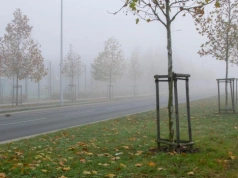 Nie pozwolili mu zrobić zjazdu na działkę. NSA: „nie” to za mało