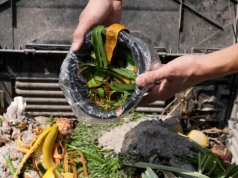 Kompostownik bez błędów na start. Robię to raz i mam najlepszą ziemię w ogrodzie