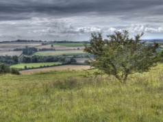 Polak odnalazł na Wyspach tajemniczy pierścień. Niezrozumiałe runy stawiają naukowców w kropce