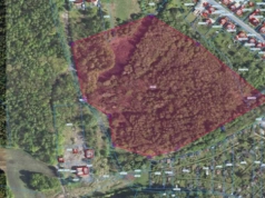 Spór o obszar użytku ekologicznego „Kumaki”. Mieszkańcy domagają się zabezpieczenia większego obszaru