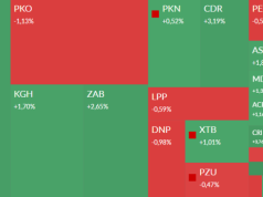 Mapa GPW: Allegro, Bowim, Śnieżka, Wasko i Syn2bio w centrum uwagi