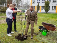 Drzewo pamięci Dziewięciu z „Wujka” zasadzone w Katowicach. To część obchodów 45. rocznicy pacyfikacji