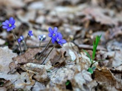 Za nami trzeci najsuchszy marzec w historii pomiarów meteorologicznych