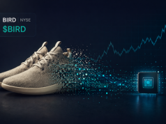 Allbirds (BIRD) wystrzeliły o 430%. Od ekobuta do spółki AI