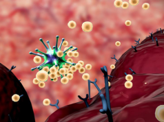 Rewolucja w dziedzinie immunologii: W jaki sposób limfocyty zmieniają walkę z rakiem