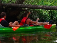 Gdzie na kajaki w regionie radomskim? Szlaki dla doświadczonych i początkujących