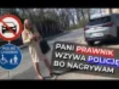 Odklejona pani prawnik i inne samochodowe stwory