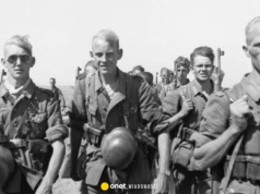 W Niemczech ruszyła wyszukiwarka członków NSDAP. Ogromne zainteresowanie