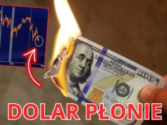 Kurs dolara stracił 30% przez ten jeden czynnik. Czy USD/PLN spadnie do 3 zł?