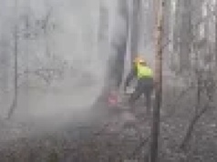 Niezwykła odwaga Krzysztofa Sycza. Wycinał płonące drzewa, by ratować las