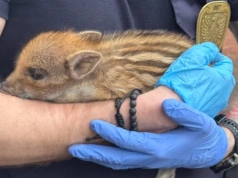 Warszawa powinna brać przykład z Mysłowic!