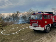 Gasili pożar traw i trzcin