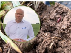 Gleba to żywy organizm. Jak mikrobiologia buduje fundament nowoczesnego rolnictwa?