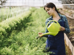 Zastosowanie surfaktantów w nawozach dolistnych