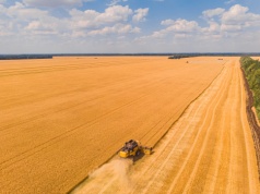 Wejście Ukrainy do UE a dopłaty dla rolników. Co zmieni nowa WPR?