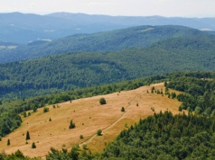 To największa polana w Beskidzie Wyspowym. Jak wędrować na Mogielicę?