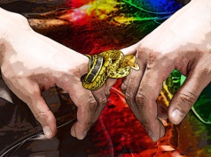 Sodoma i Gomora na Dolnym Śląsku. Wzrost zakażeń HIV, kiłą, chlamydiozą i rzeżączką