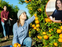Pokolenie Alfa na rynku pracy. Trzy kluczowe oczekiwania wobec pracodawcy