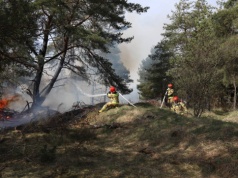 Służby ćwiczyły na poligonie wojskowym w Orzyszu
