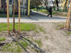 Estetyka przegrywa z wygodą. Nowy zieleniec przy Armii Krajowej w Mysłowicach został rozdeptany