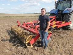 Rzepak się sypie. „Tysiąc chowaczy w jednej misce”