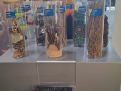 Koncern Michelin otworzy w Olsztynie muzeum przemysłu oponiarskiego