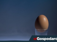 Zobacz, co kryje się w jajku
