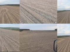 Jeździł samochodem po świeżo zasianych burakach. Wyrządził straty na ponad 20 tys. złotych