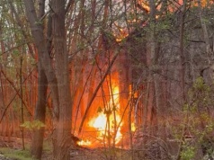 Pożar pustostanu na Bemowie. Na miejscu działa straż pożarna