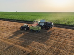 Agroholdingi na Ukrainie zwiększyły zyski o 40 procent. Oligarchowie mogą świętować