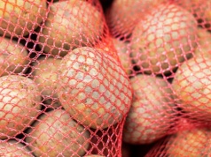 Do miliona ton ziemniaków zalega u rolników. Branża ostrzega przed falą bankructw