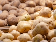 Ziemniaki z Zachodu zalewają Polskę. "Producentom grozi bankructwo"