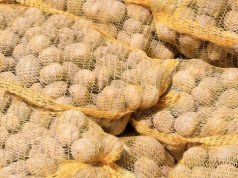 Polskim rolnikom grozi bankructwo. "Ceny 71,5 proc. niższe niż rok wcześniej"