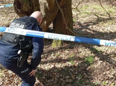 Akcja policji w lesie. Znalezisko podczas spaceru postawiło służby na nogi