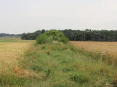Awantura o miedzę i groźby podpalenia. Co może zrobić rolnik?