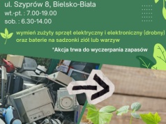 Jak świętować Dzień Ziemi? Zapraszamy na eko-wydarzenia!