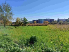 Nie będzie kanału ulgi. Czy powstanie 4-kilometrowy park? Czas na ochronę tego terenu przed zakusami deweloperów